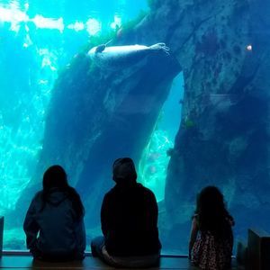 Meet your Posher, Jaimie